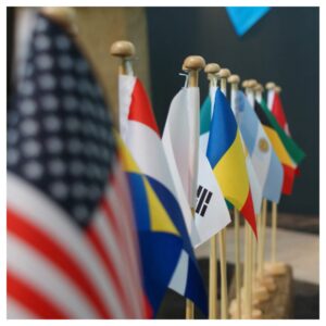 Custom Hand Flags
