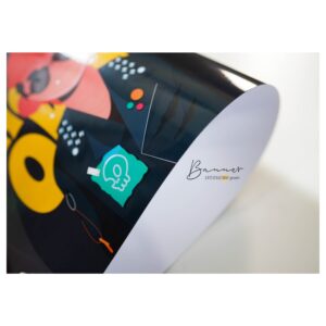 Photographed paper fan banner sample